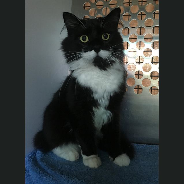 Photo of Hermes