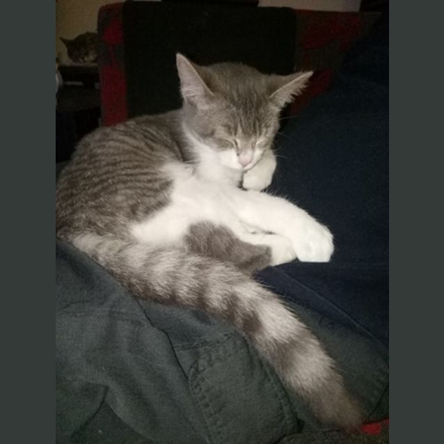Photo of Ava