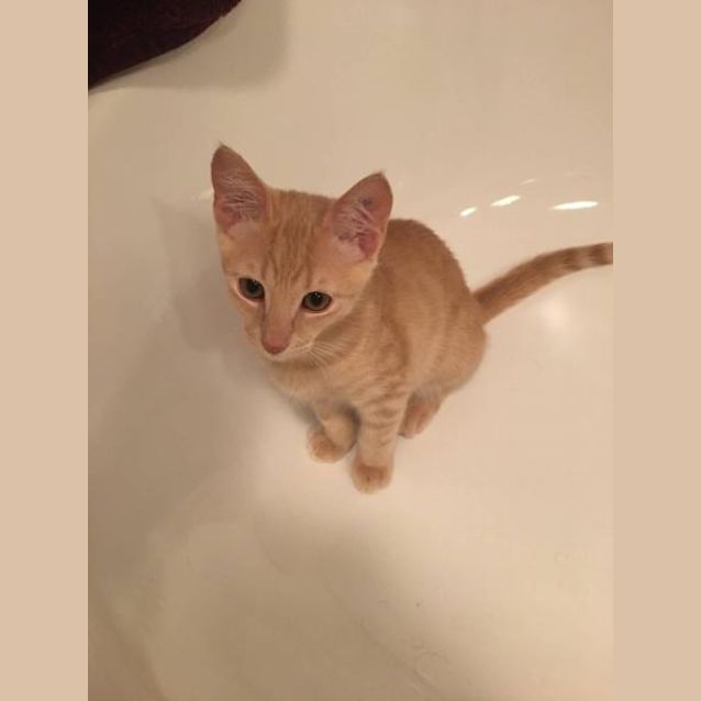 Photo of Flynn