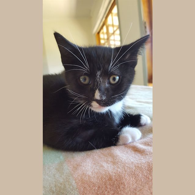 Photo of Leonard