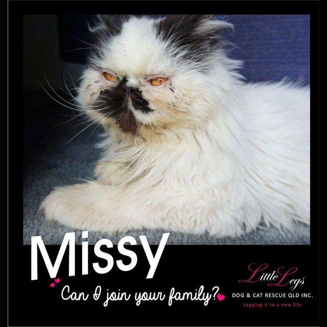 Photo of Missy