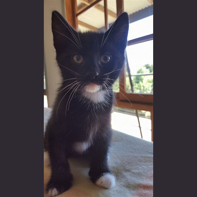 Photo of Sheldon