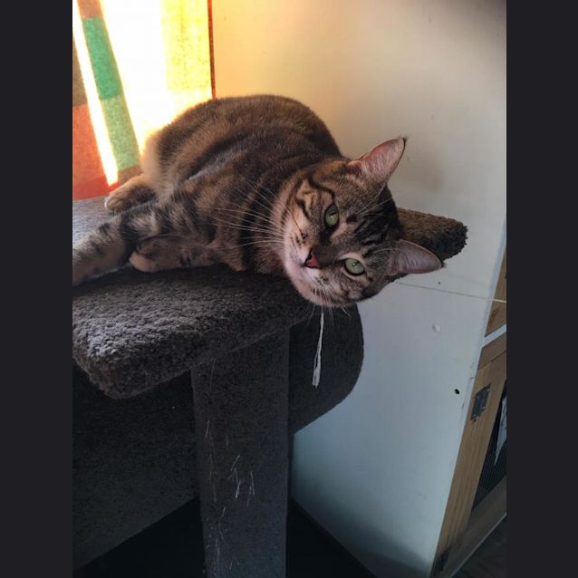 Photo of Mia