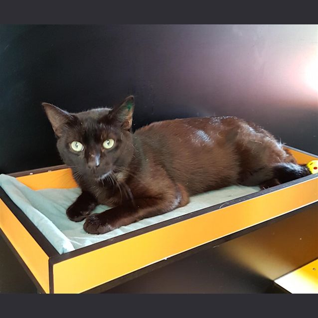 Photo of Magnus