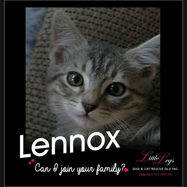 Photo of Lennox