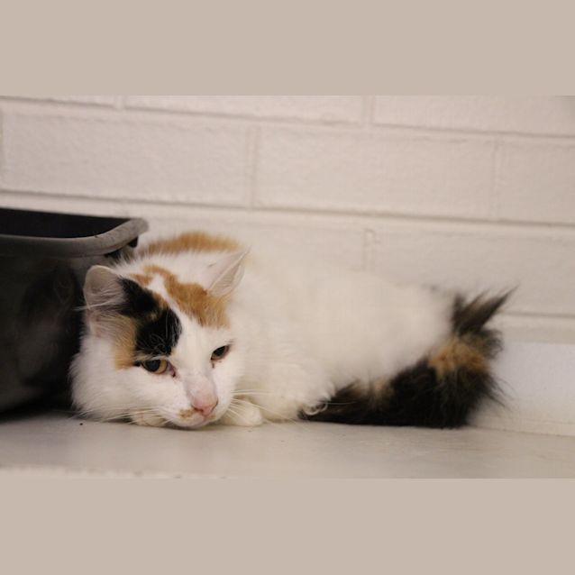 Photo of Jessicat (4909)