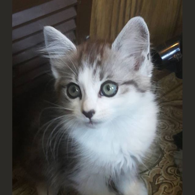Photo of Charlie 