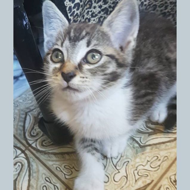 Photo of Jack