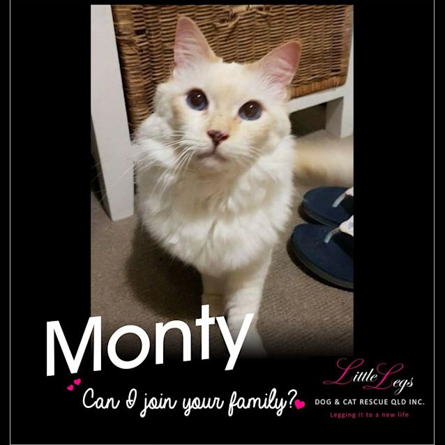 Photo of Monty