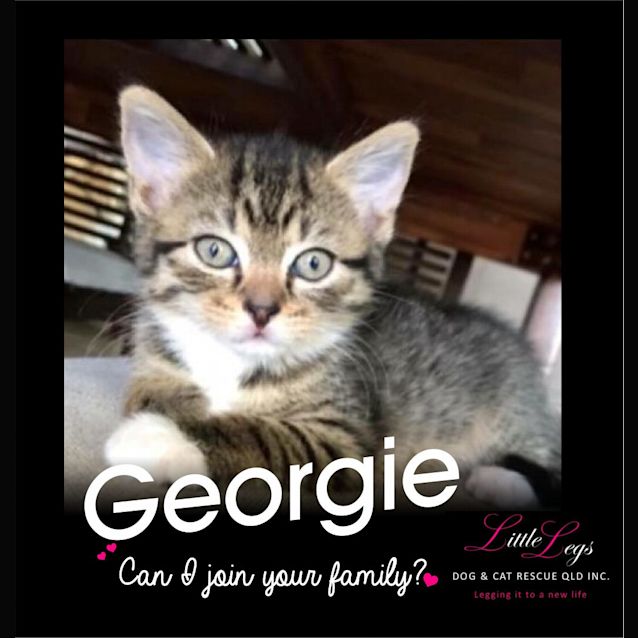 Photo of Georgie