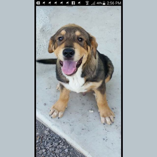Photo of Boof 