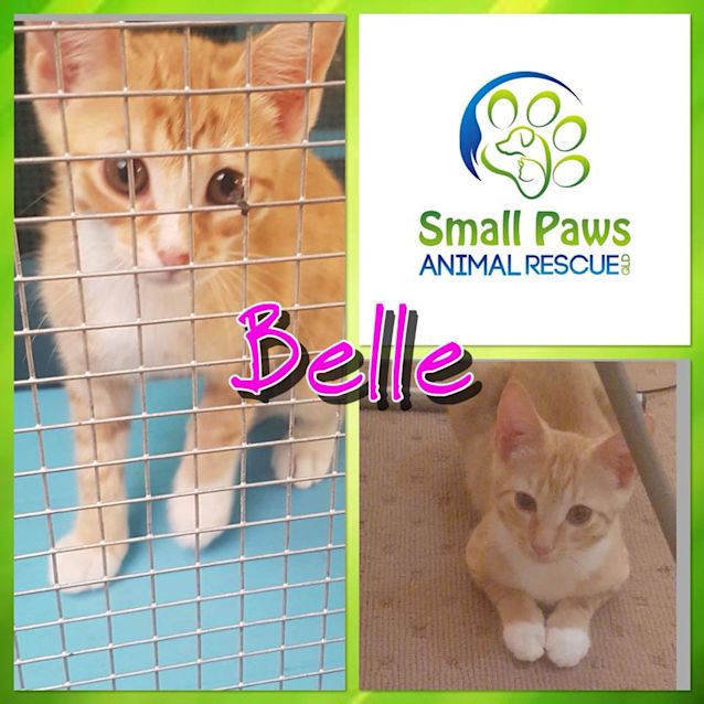 Photo of Belle