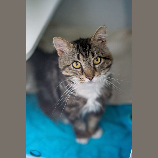 Photo of Boots