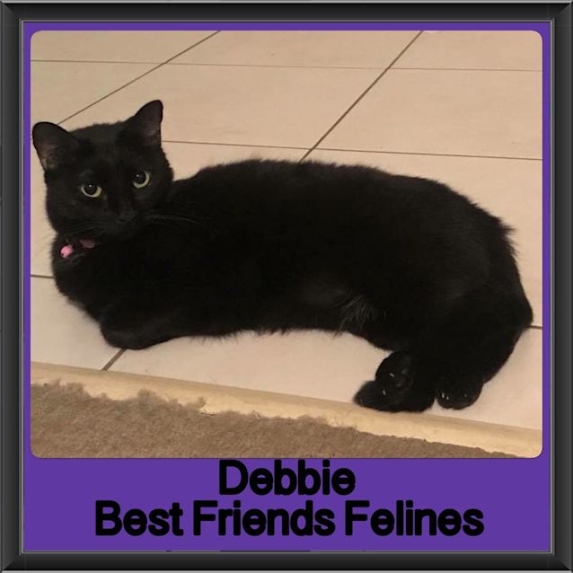 Photo of Debbie