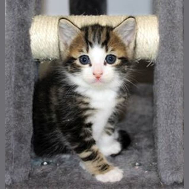 Photo of Frankie