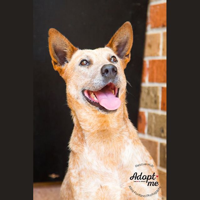 Photo of Alex (Hcc 468)