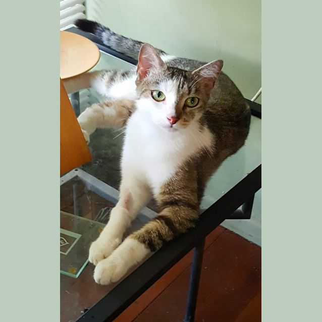 Photo of Mystique 