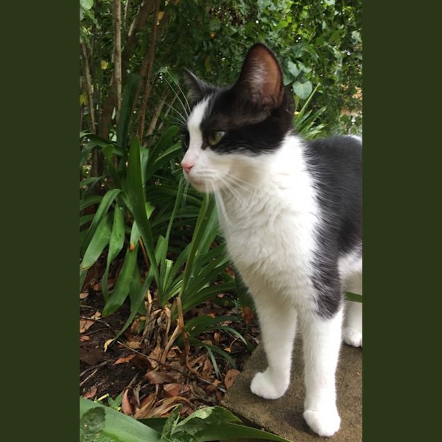 Photo of Prada 