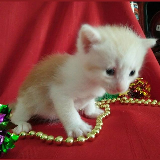 Photo of Dorian 