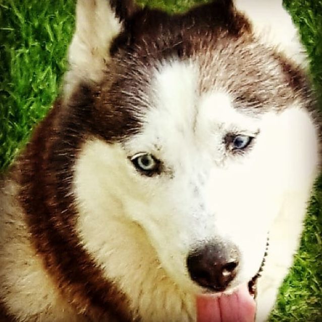 Photo of Mya