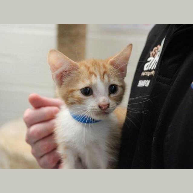 Photo of Mack (3697)