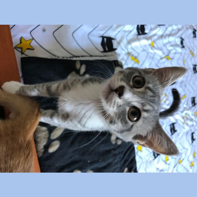 Photo of Quinn