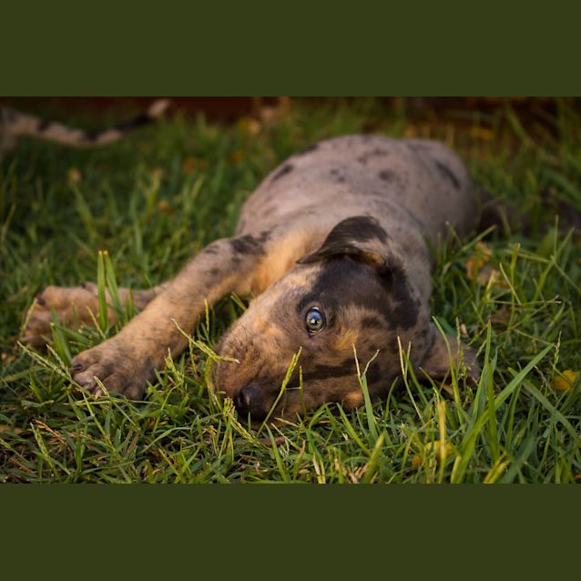 Photo of Clark   Superman 