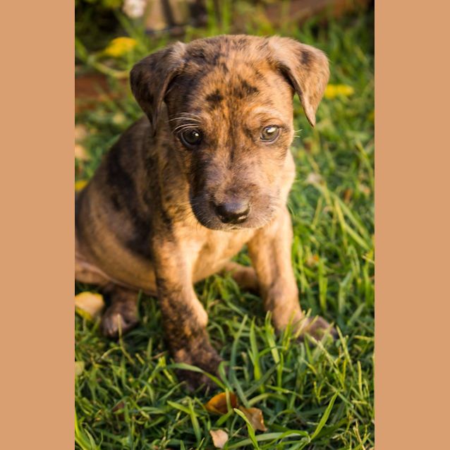 Photo of Victor Stone   Cyborg 