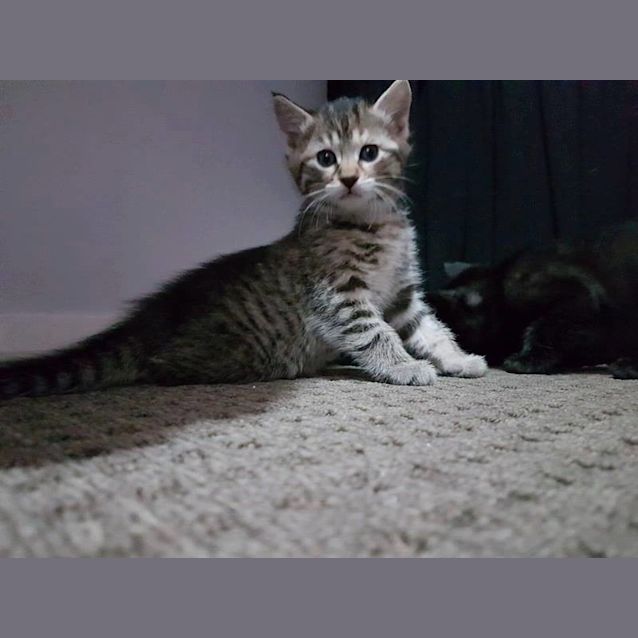 Photo of Tabitha