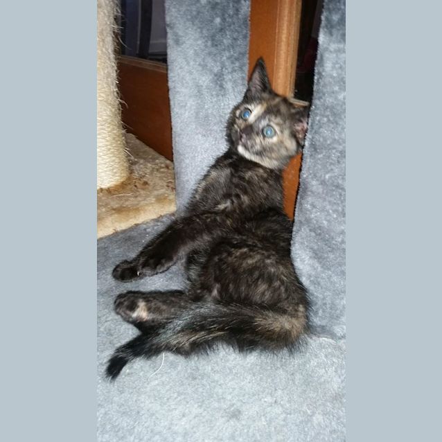 Photo of Tabianna