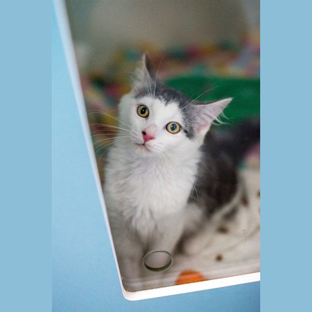 Photo of Max