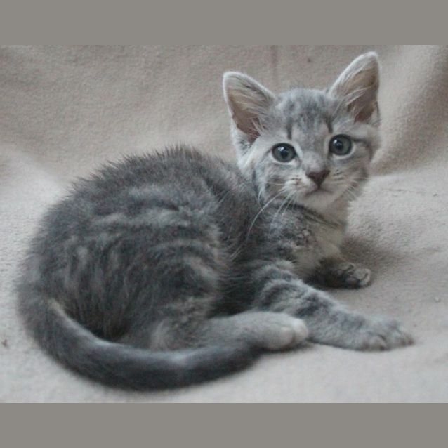 Photo of Kiri