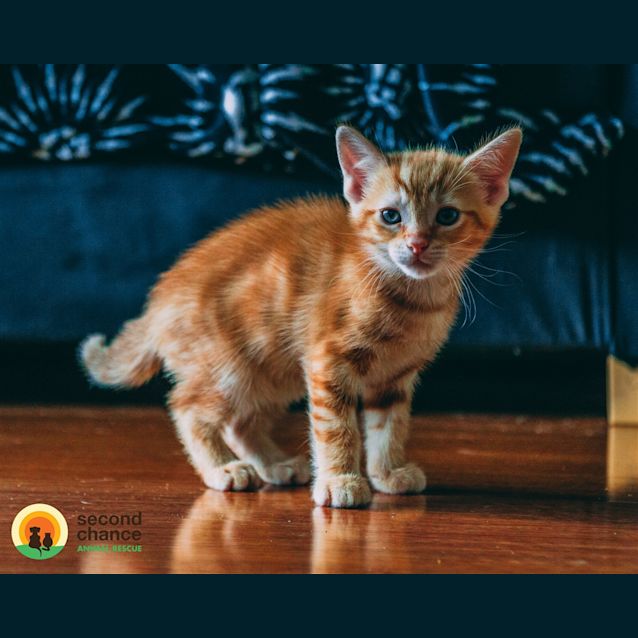 Photo of Oj