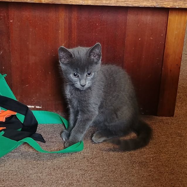 Photo of Ellie