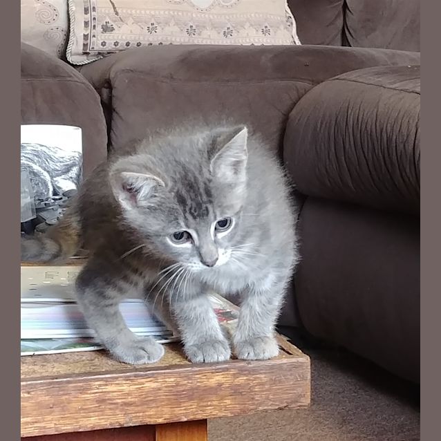 Photo of Eli