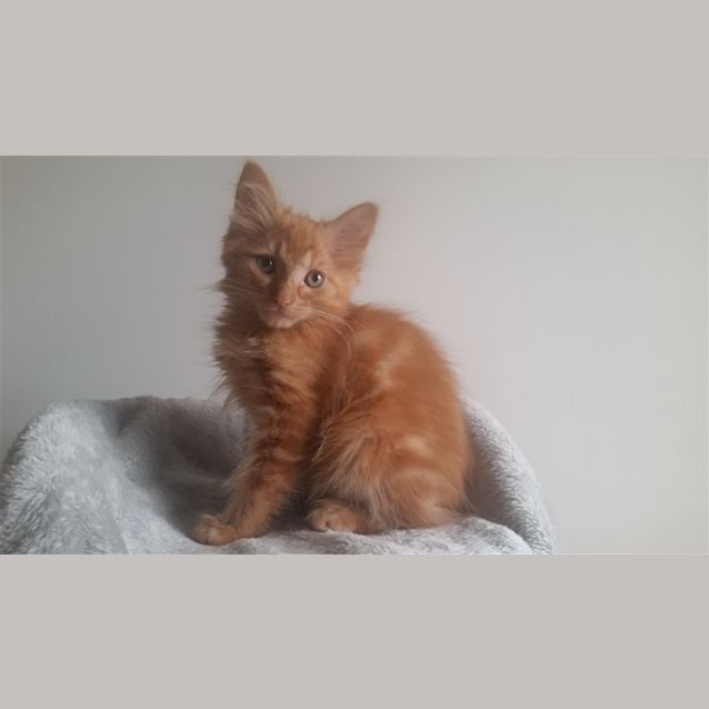 Photo of Sebastion