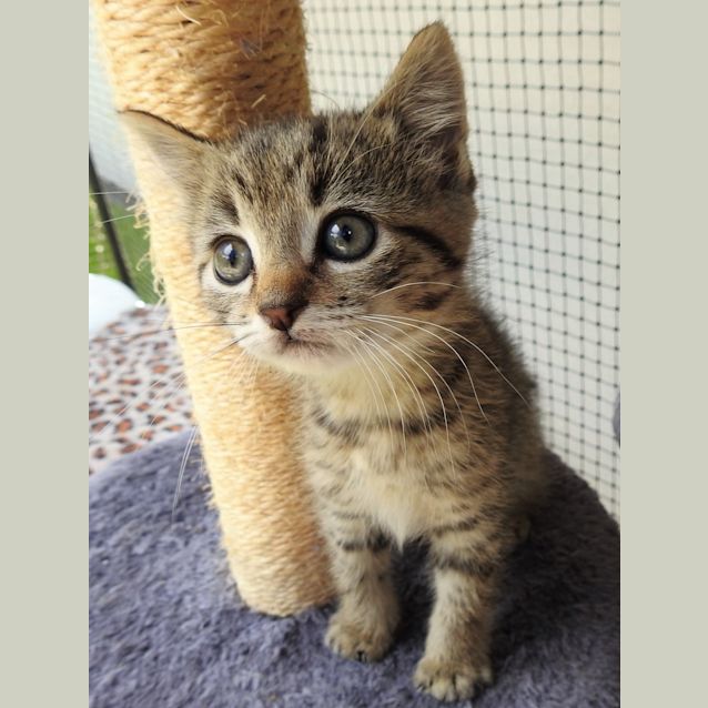 Photo of Fergus