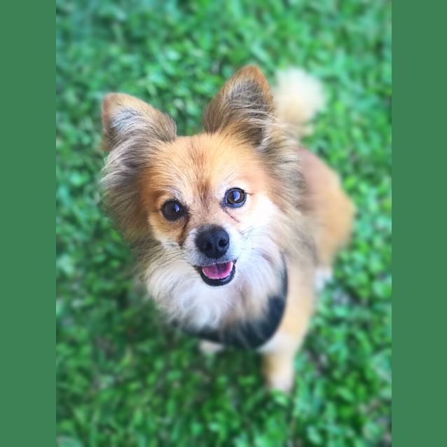 Photo of Jet 