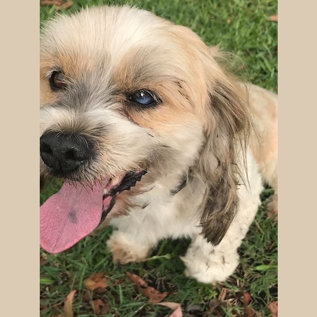Photo of Ralph 