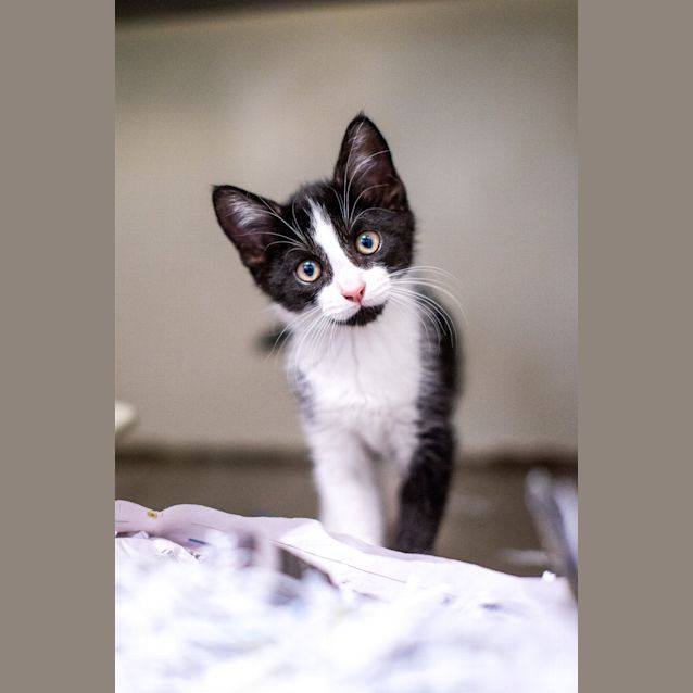 Photo of Isla