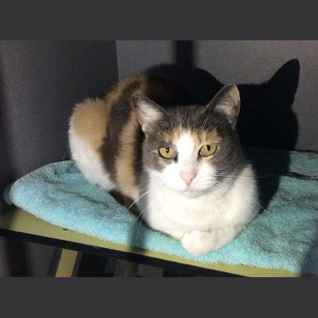 Photo of Pretty Lady 
