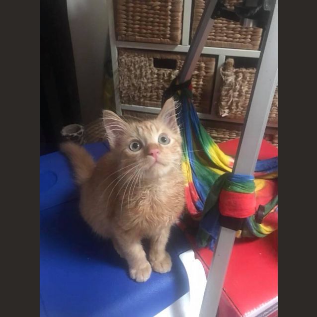Photo of Floreon