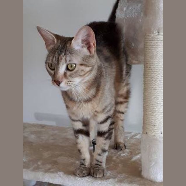Photo of Sandi