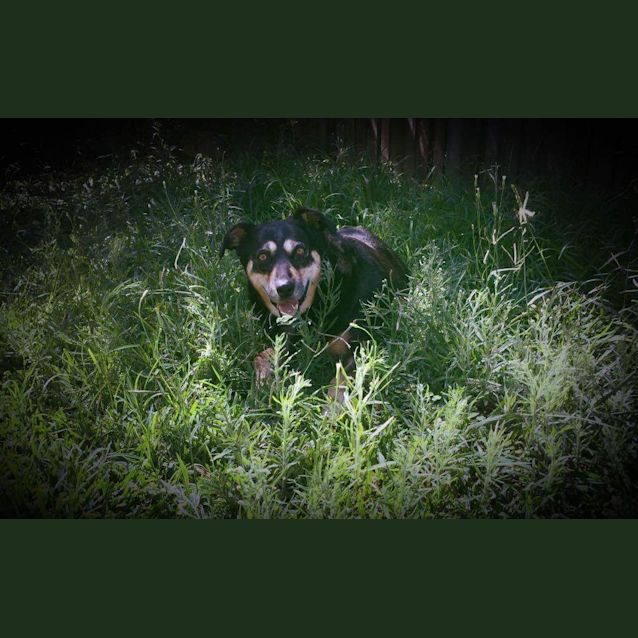 Photo of Lexi