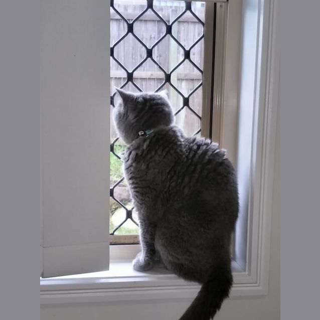 Photo of Isabella