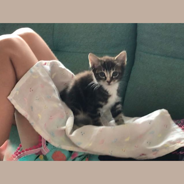 Photo of Bootsy