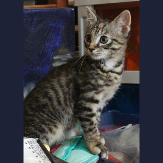 Photo of Spot Ec0408