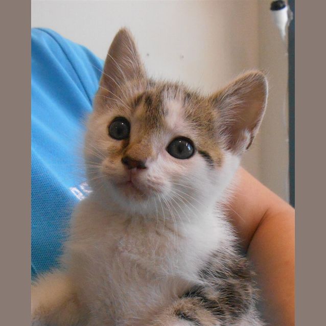 Photo of Charlie