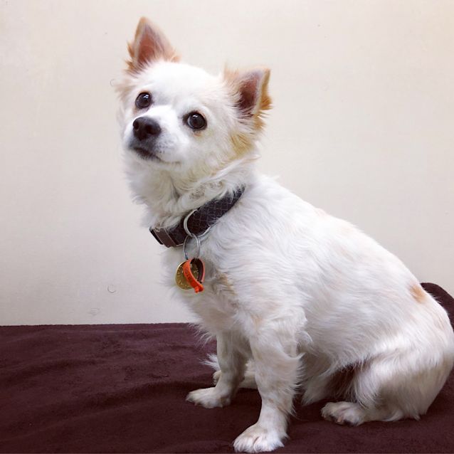 Photo of Charlie