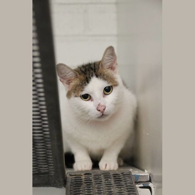 Photo of Charlotte (4597)